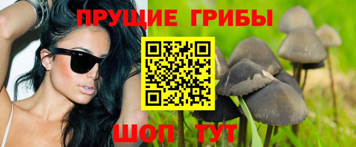 Галлюциногенные грибы Psilocybine cubensis Боровичи