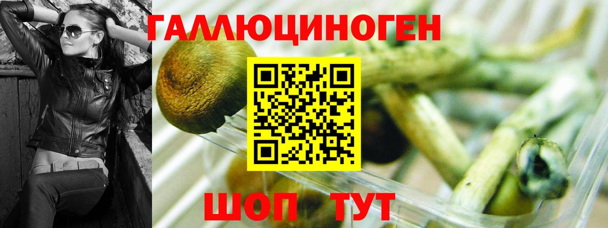 Псилоцибиновые грибы Cubensis  Псилоцибиновые грибы ЛСД  Боровичи  Вход с VPN 